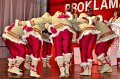 Prinzen2011   124